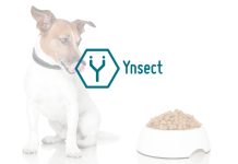 美國飼料品管協會正式批准昆蟲蛋白用於狗糧生產