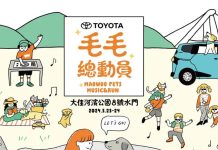 毛毛總動員