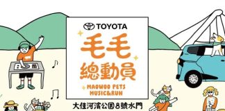 毛毛總動員