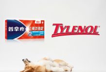 貓狗普拿疼中毒