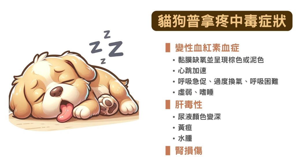 貓狗普拿疼中毒症狀