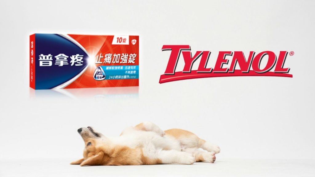 貓狗誤食普拿疼