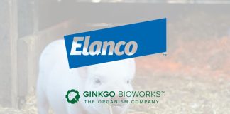 Elanco攜手細胞編程公司Ginkgo-Bioworks共同創立微生物創新公司BiomEdit