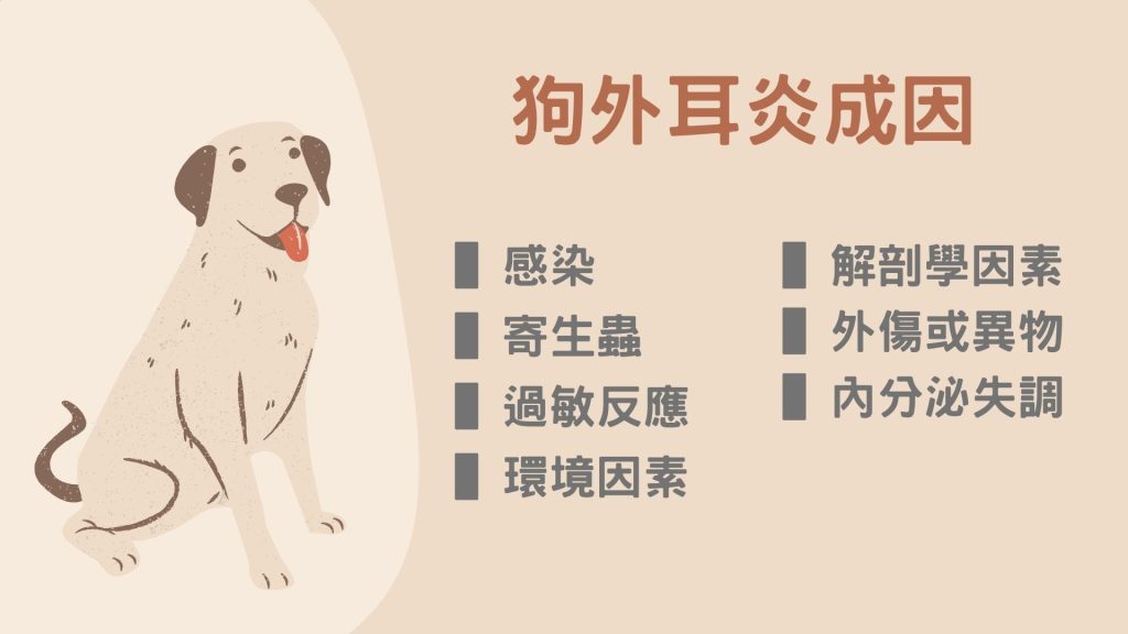 狗外耳炎成因
