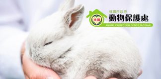 桃園市政府動物保護處113年度第一季非犬貓特寵認養活動323登場