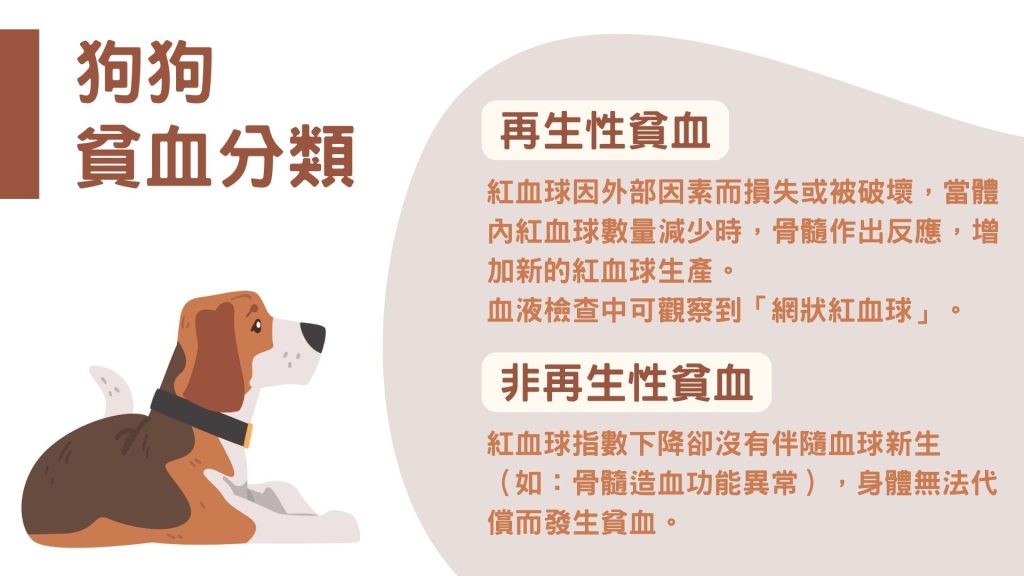 狗狗貧血分類