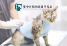 內視鏡微創手術訓練課程