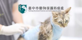 內視鏡微創手術訓練課程