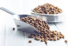寵物食品病原微生物與有害健康物質種類及安全容許量標準