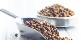 寵物食品病原微生物與有害健康物質種類及安全容許量標準