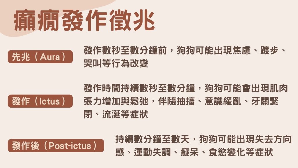 狗狗癲癇發作徵兆