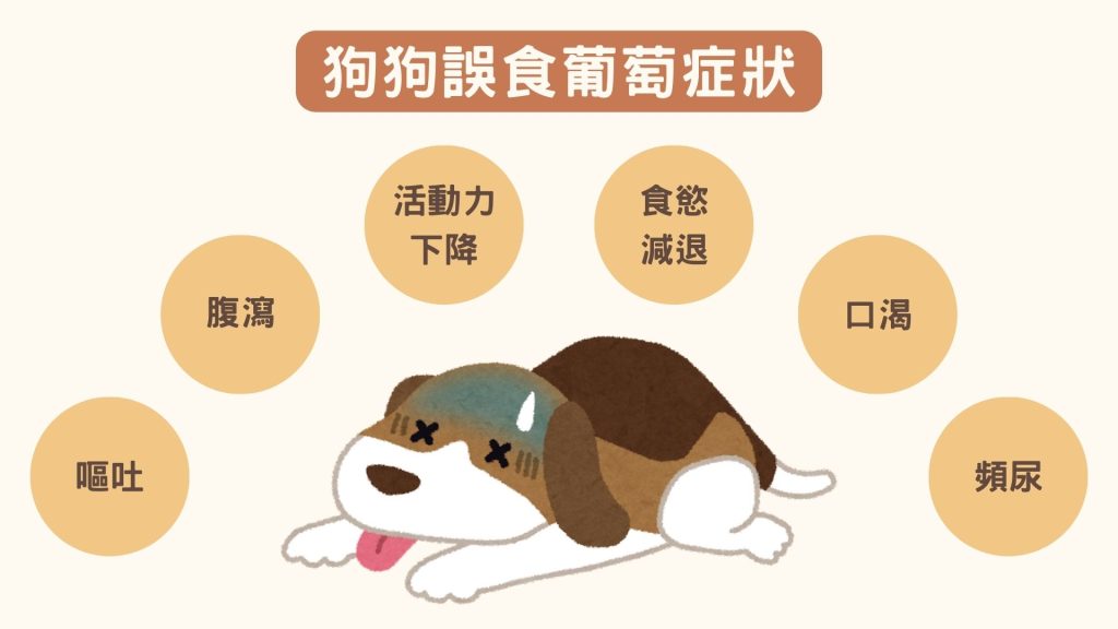 狗狗誤食葡萄症狀