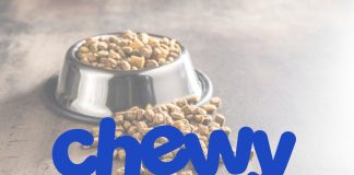 Chewy-Inc.-財報分析