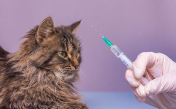 WSAVA更新犬貓新疫苗接種指南