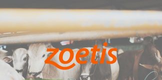 Zoetis出售飼料添加劑業務給Phibro動物保健公司