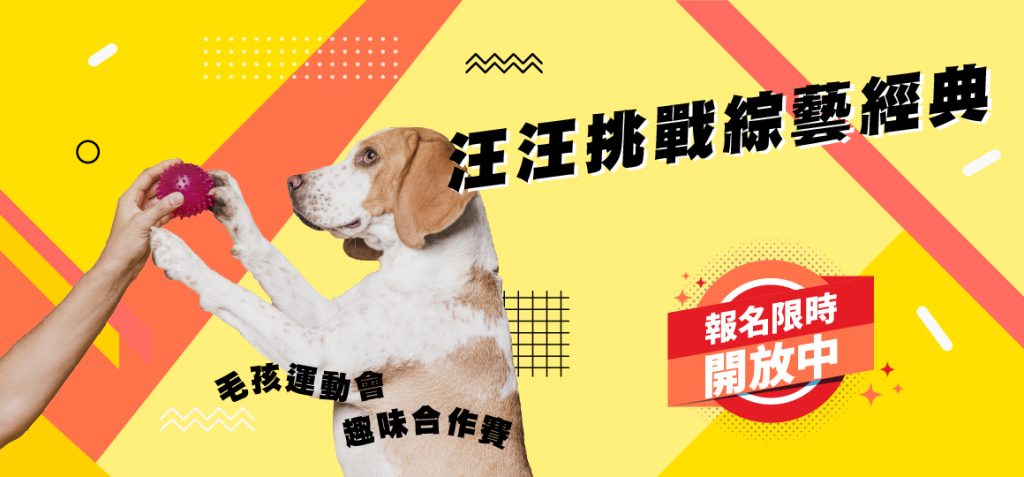 汪汪挑戰綜藝經典賽