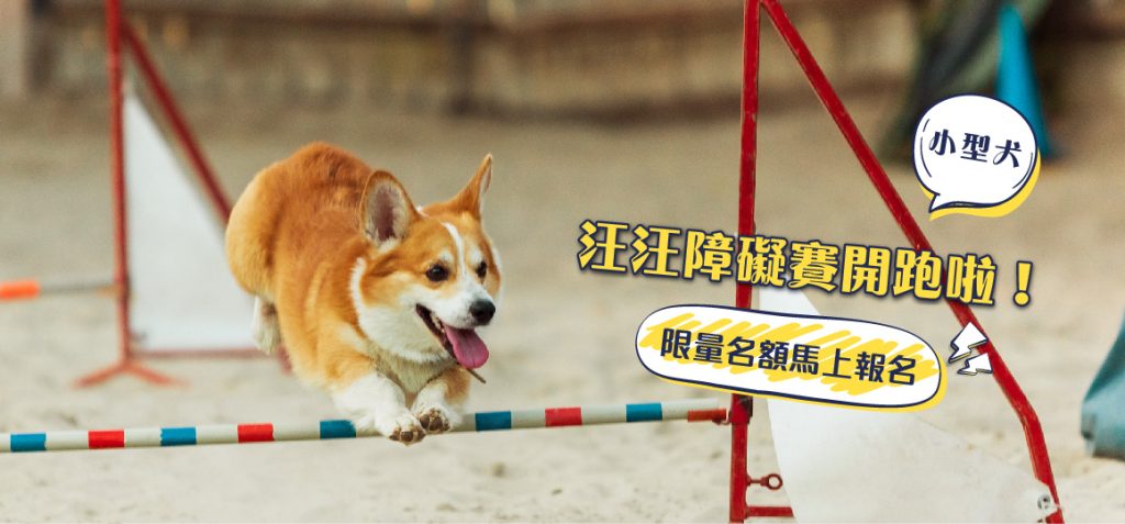 汪汪障礙賽-小型犬