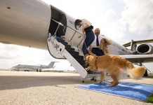 BARK Air