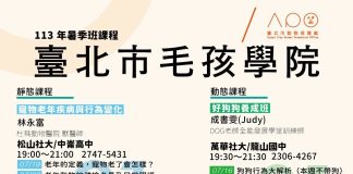 台北毛孩學院暑季班
