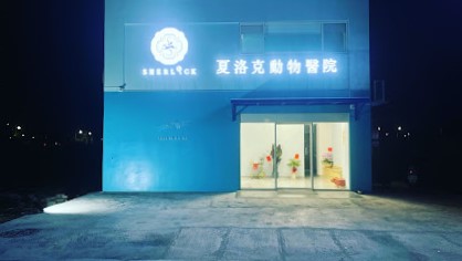 夏洛克動物醫院 夏洛克動物醫院