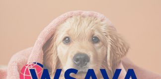 WSAVA首次發布犬貓繁殖控制指引