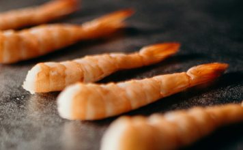 貓咪能吃蝦子嗎?專家解析4大營養益處! 貓咪可以吃蝦子嗎