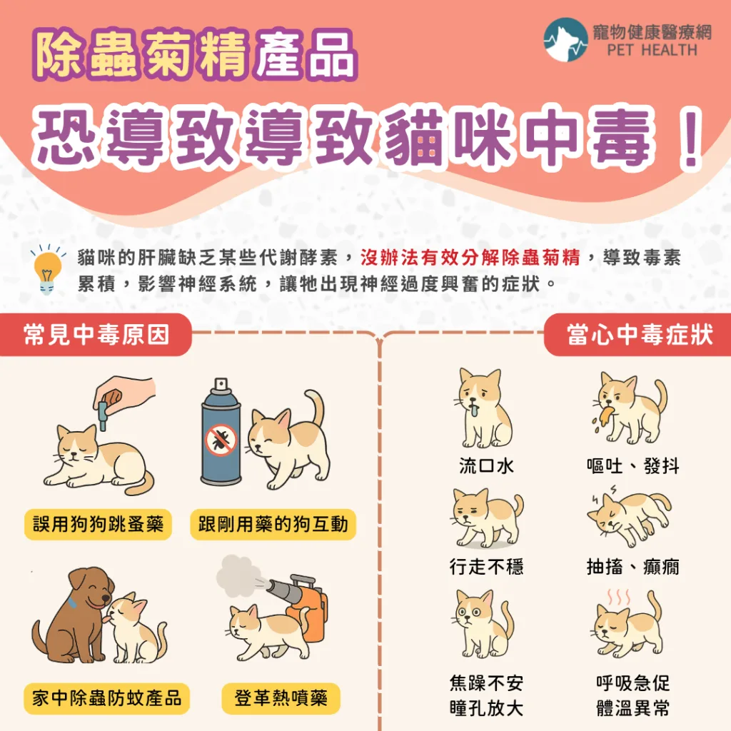 除蟲菊精產品恐導致導致貓咪中毒！