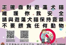 流浪犬的正確認知及如何化解人犬衝突