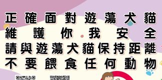 流浪犬的正確認知及如何化解人犬衝突