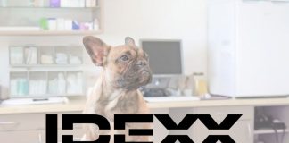 Catalyst 生化分析儀 IDEXX Laboratories