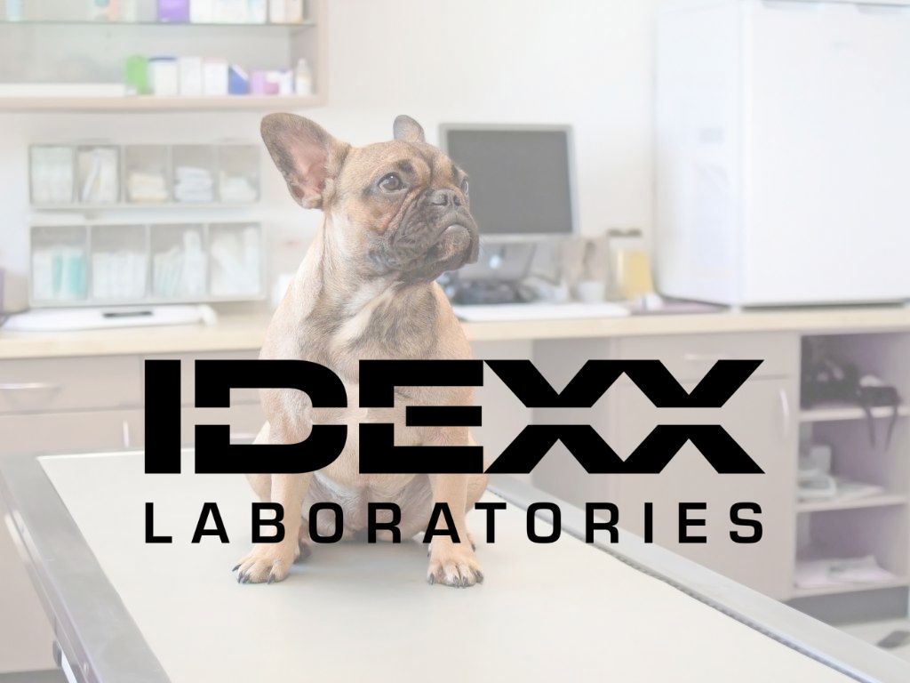 IDEXX擴展Catalyst平台檢測項目，幫助全球獸醫診斷胰臟炎 - 寵物健康醫療網 最多人看的寵物健康媒體