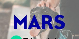 Mars與Tripadvisor攜手合作，推出全新寵物旅行平台