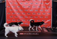 Nestle_Purina_PetCare_Activation