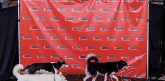 Nestle_Purina_PetCare_Activation