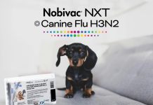 Nobivac