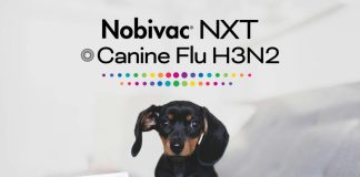 Nobivac