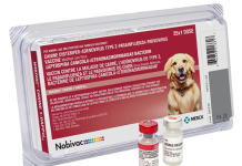 Nobivac-CANINE-1-DAPPvL2-w-vial-featured-image