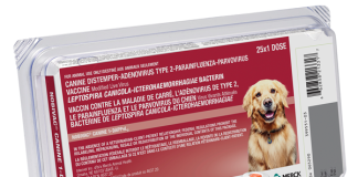 Nobivac-CANINE-1-DAPPvL2-w-vial-featured-image