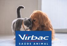 Virbac維克2024年上半年財報