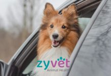 ZYVET新藥