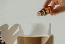 精油對寵物有害嗎?愛用精油又養寵物?專家教你如何避開風險 精油對寵物有害嗎?愛用精油又養寵物?專家教你如何避開風險