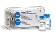 msd_nobivac_dhppi_0523_body