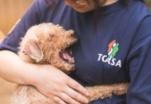 今年台中共7家動物醫院共襄盛舉，支持毛孩醫療，為犬山居的毛孩，提供更全面的幫助
