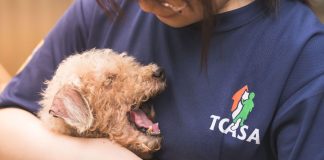 今年台中共7家動物醫院共襄盛舉，支持毛孩醫療，為犬山居的毛孩，提供更全面的幫助