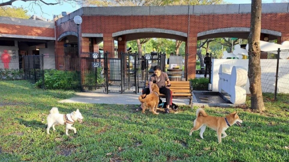 古坑國道服務區寵物公園(圖片來源 / 交通部新聞稿)