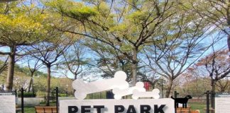 古坑服務區寵物公園(大小型犬分區)