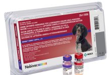 寵必威犬八合一疫苗（Nobivac Canine 1-DAPPvL2+Cv）