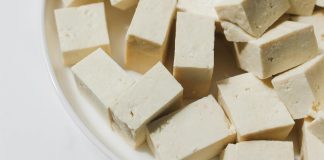 狗狗可以吃豆腐嗎
