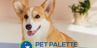 私募股權公司CCP收購Pet Palette