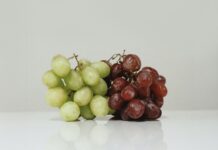 貓狗誤食葡萄可能導致急性腎衰竭!寵物誤食葡萄的症狀與治療 貓狗誤食葡萄可能導致急性腎衰竭!寵物誤食葡萄的症狀與治療